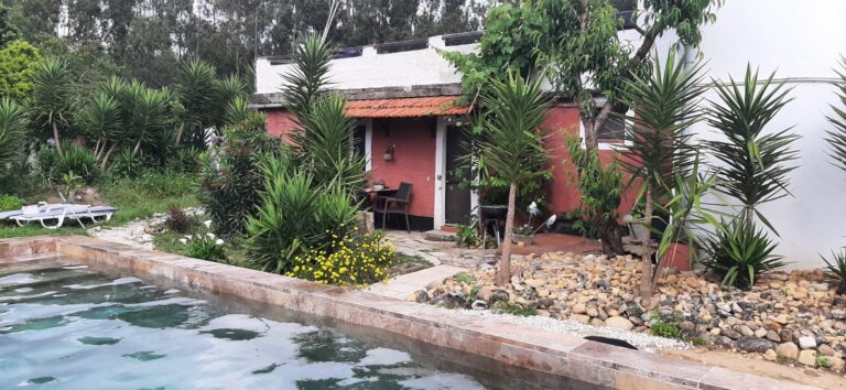 Raposa Outside Garden